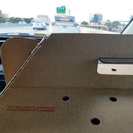 36035047_242260156579410_1636847285302198272_n