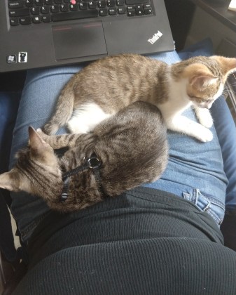 IMG_20180806_153925481