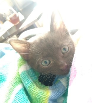 IMG_20180921_140521555