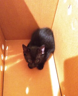 IMG_20181001_115749329