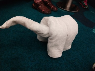 IMG_20181123_112804166