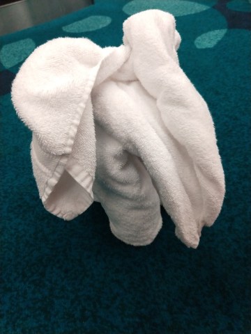 IMG_20181123_112848674