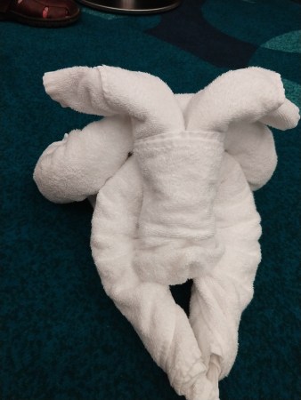 IMG_20181123_114217367